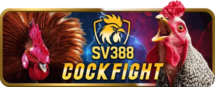 Hướng dẫn luật chơi đá gà tại Win2888